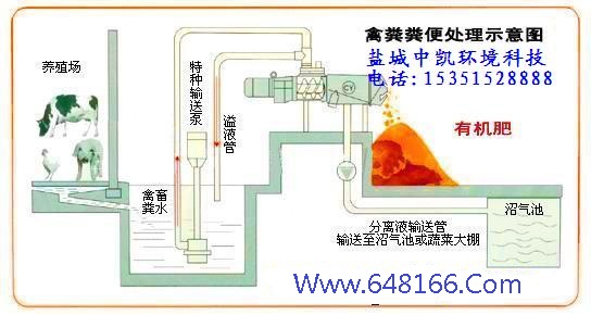 好色先生视频示意图
